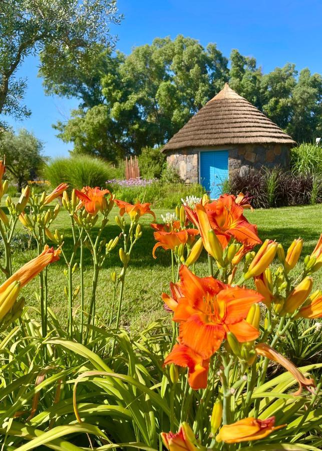 Is Cheas Wine Farm Boutique Hotel San Vero Milis Exterior foto