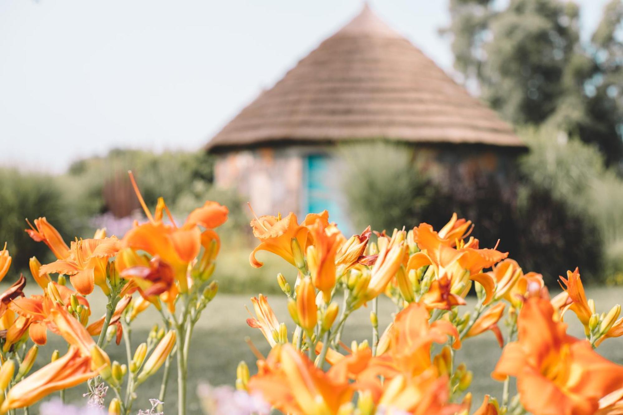 Is Cheas Wine Farm Boutique Hotel San Vero Milis Quarto foto