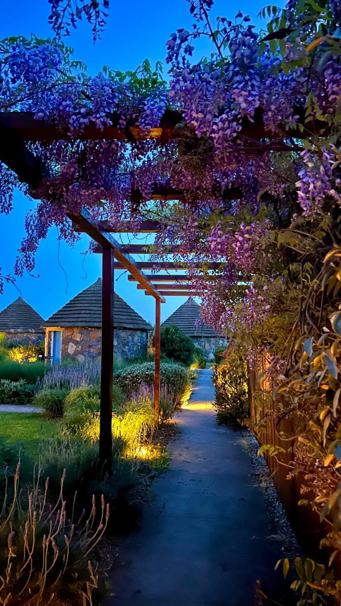 Is Cheas Wine Farm Boutique Hotel San Vero Milis Exterior foto